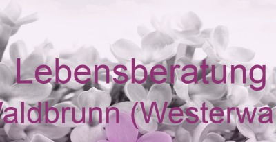 Lebensberatung Waldbrunn (Westerwald) | Top-Experten für Kartenlegen, Wahrsagen, Hellsehen, Zukunftsdeutung.